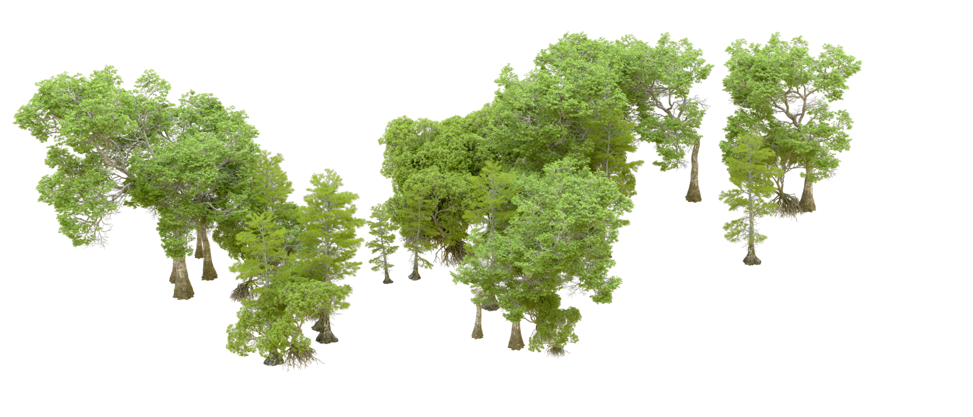 Green forest isolated on background. 3d rendering - illustration png