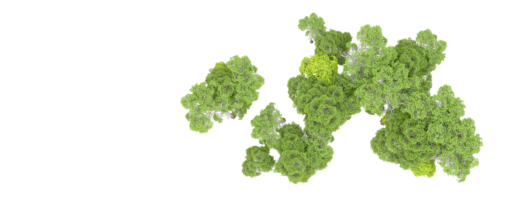 grön skog isolerat på bakgrund. 3d tolkning - illustration png