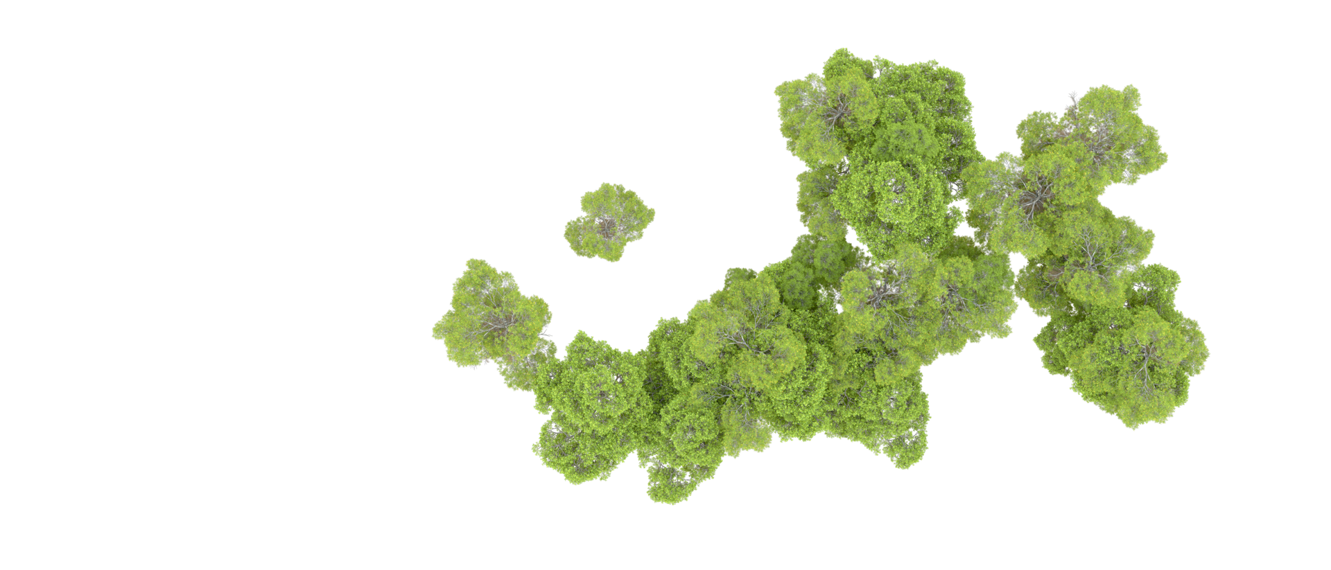 Green forest isolated on background. 3d rendering - illustration png