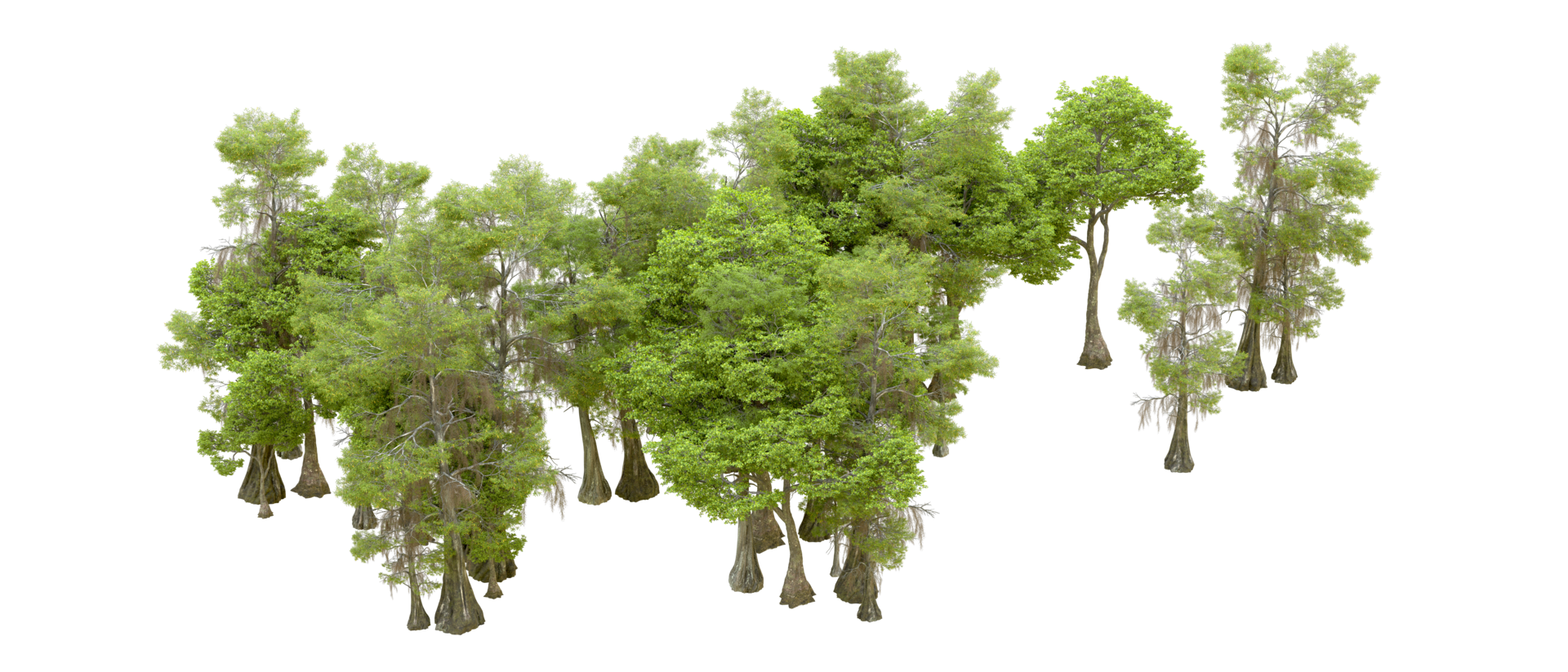 Green forest isolated on background. 3d rendering - illustration png