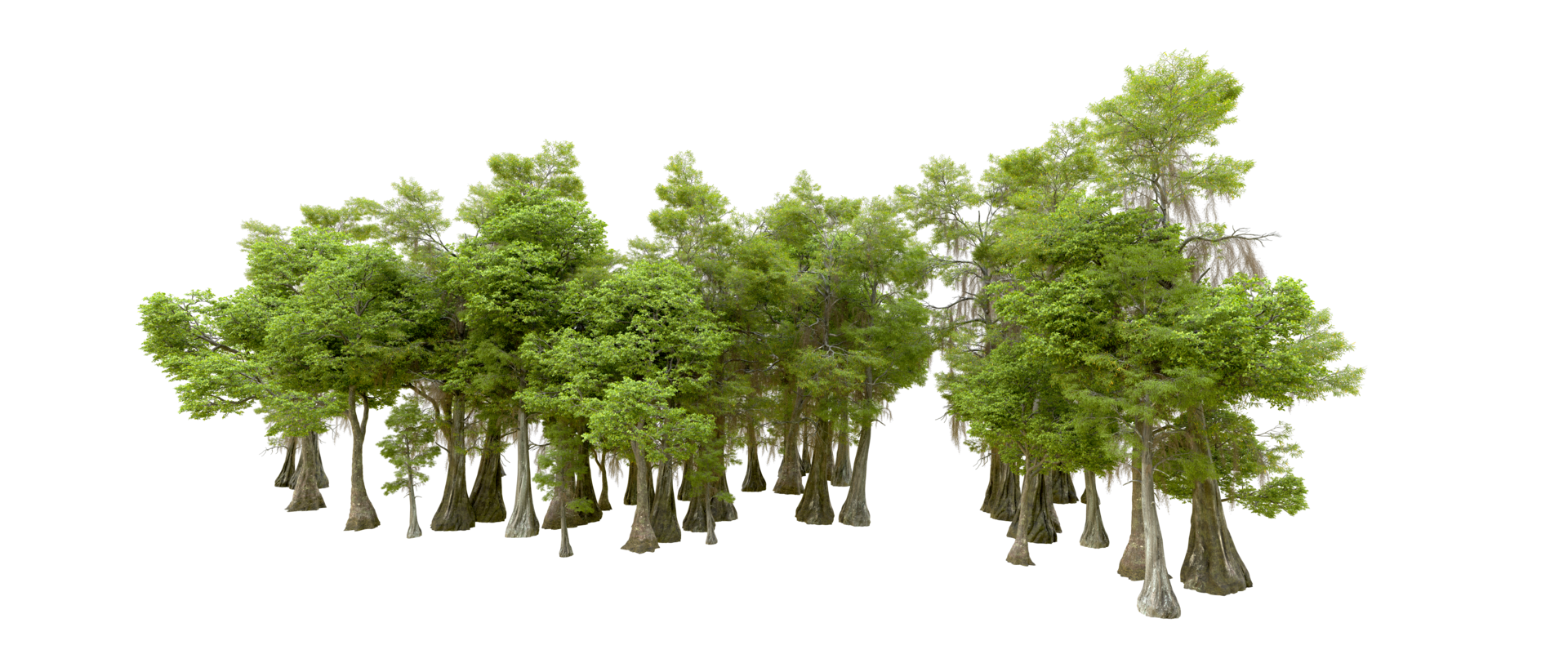 Green forest isolated on background. 3d rendering - illustration png
