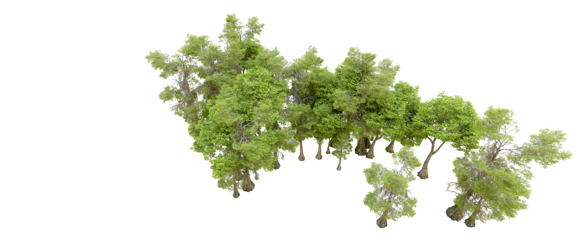 Green forest isolated on background. 3d rendering - illustration png