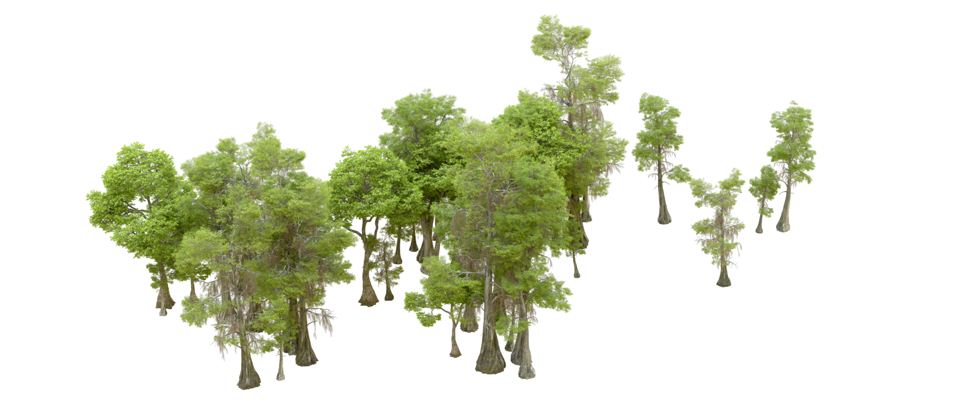 Green forest isolated on background. 3d rendering - illustration png