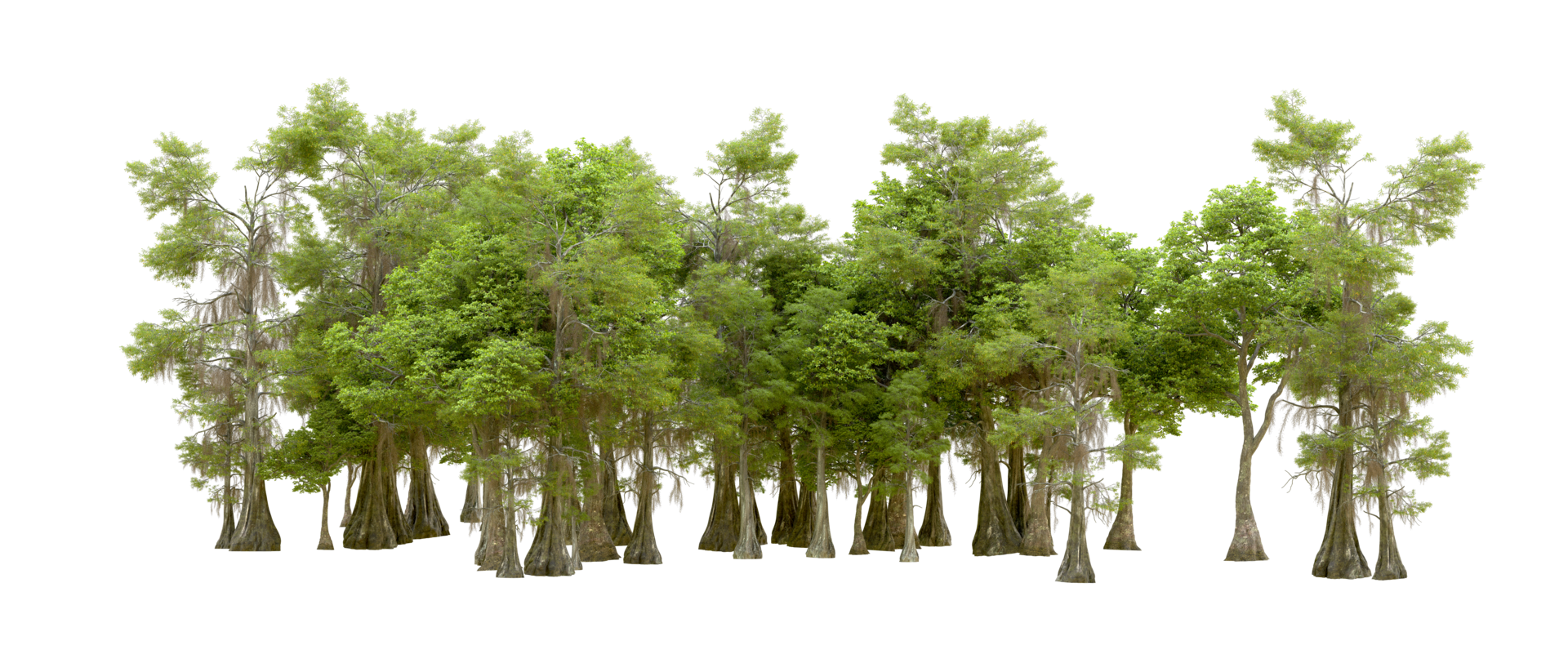 Green forest isolated on background. 3d rendering - illustration png