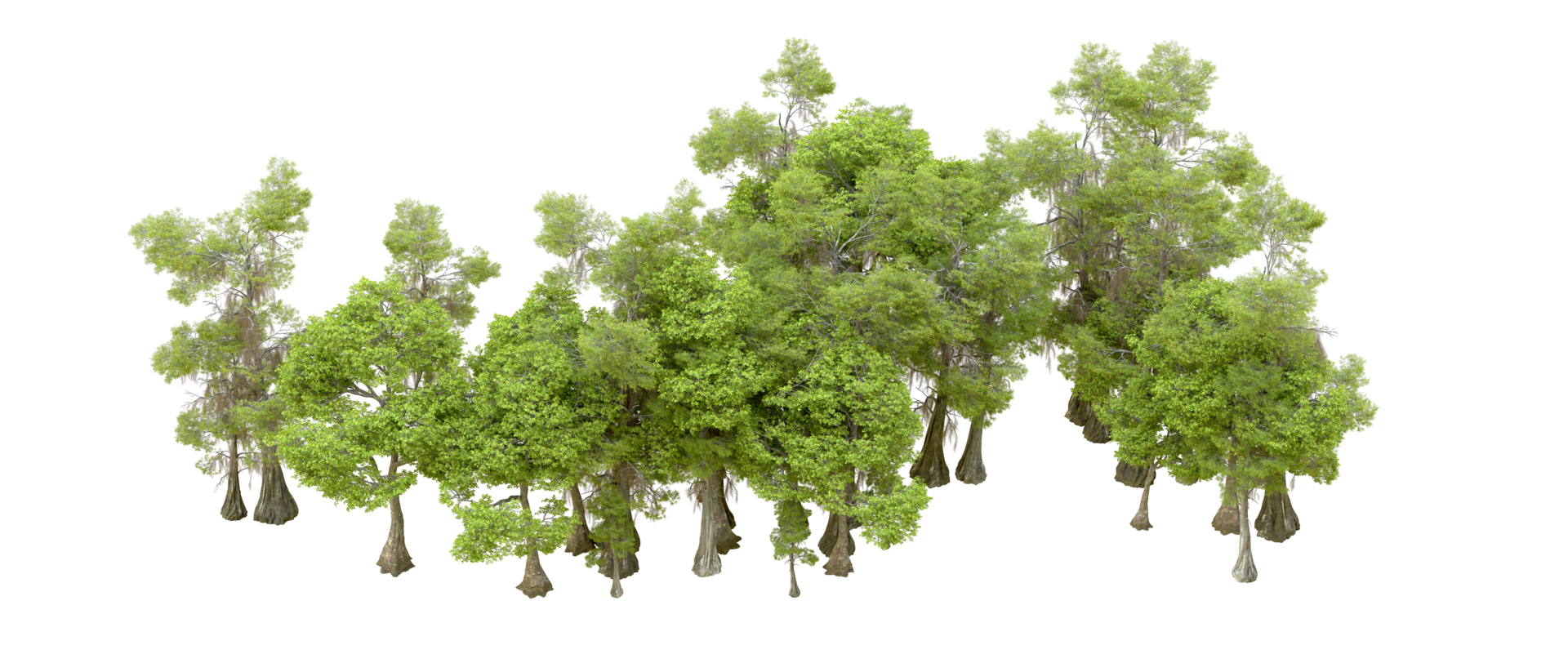 Green forest isolated on background. 3d rendering - illustration png