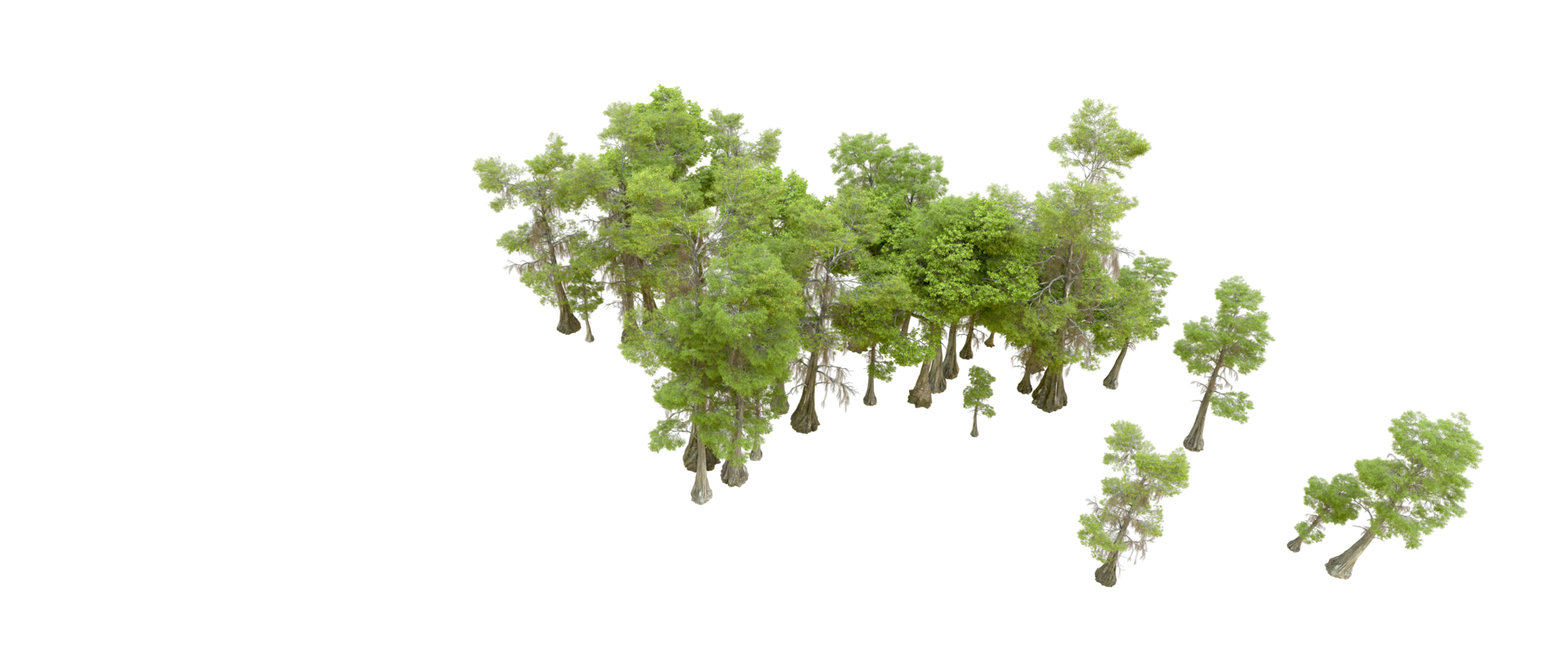 Green forest isolated on background. 3d rendering - illustration png