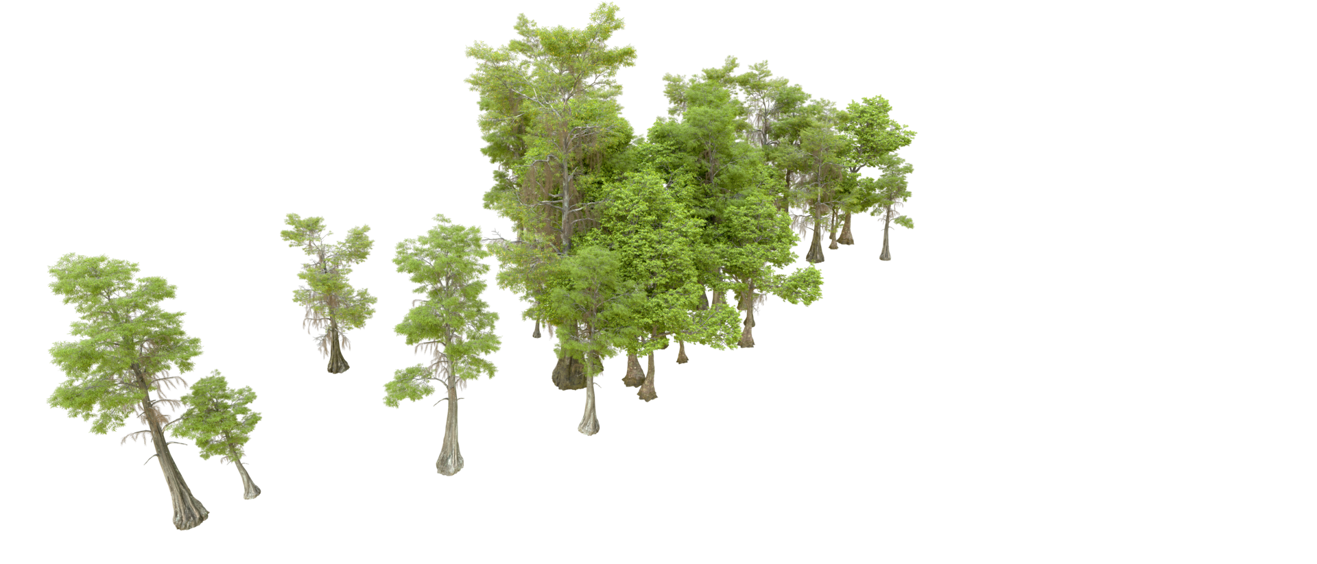 Green forest isolated on background. 3d rendering - illustration png