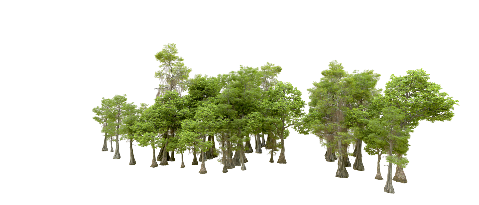 Green forest isolated on background. 3d rendering - illustration png
