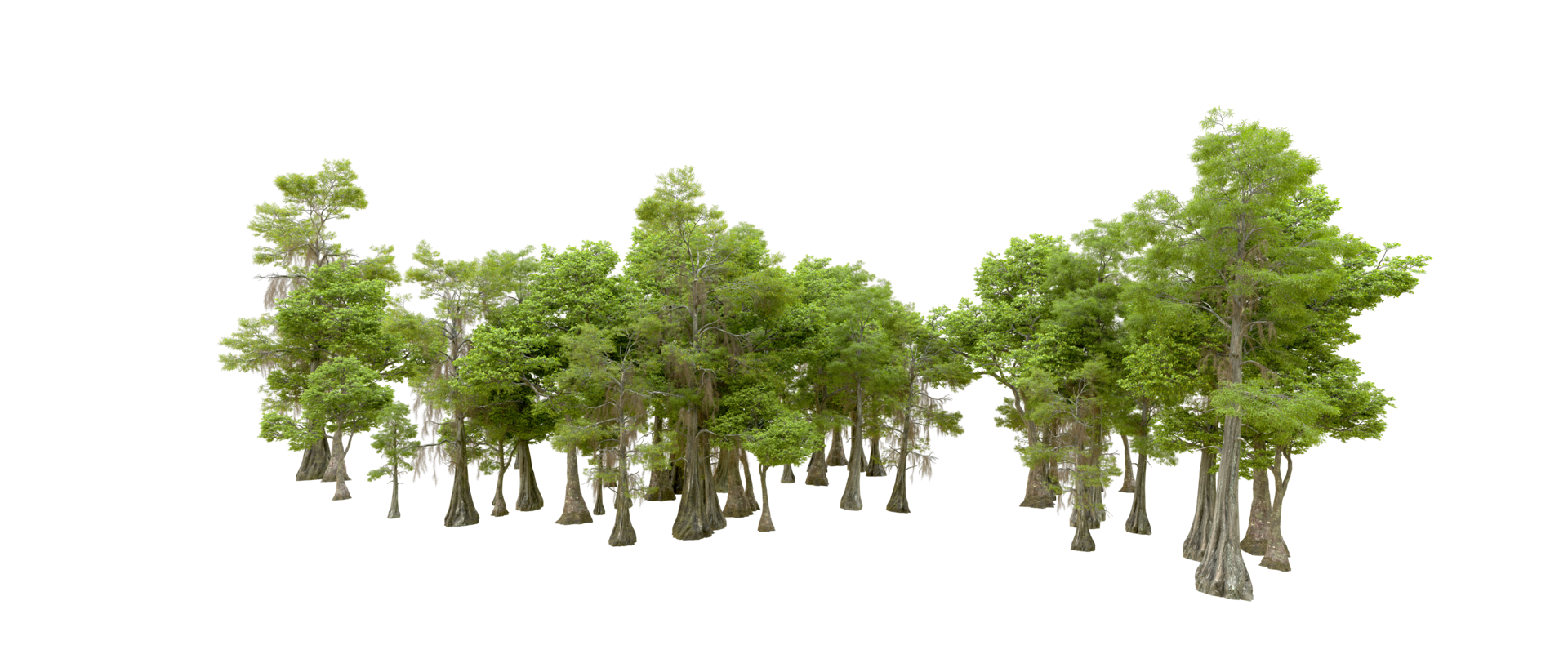 Green forest isolated on background. 3d rendering - illustration png