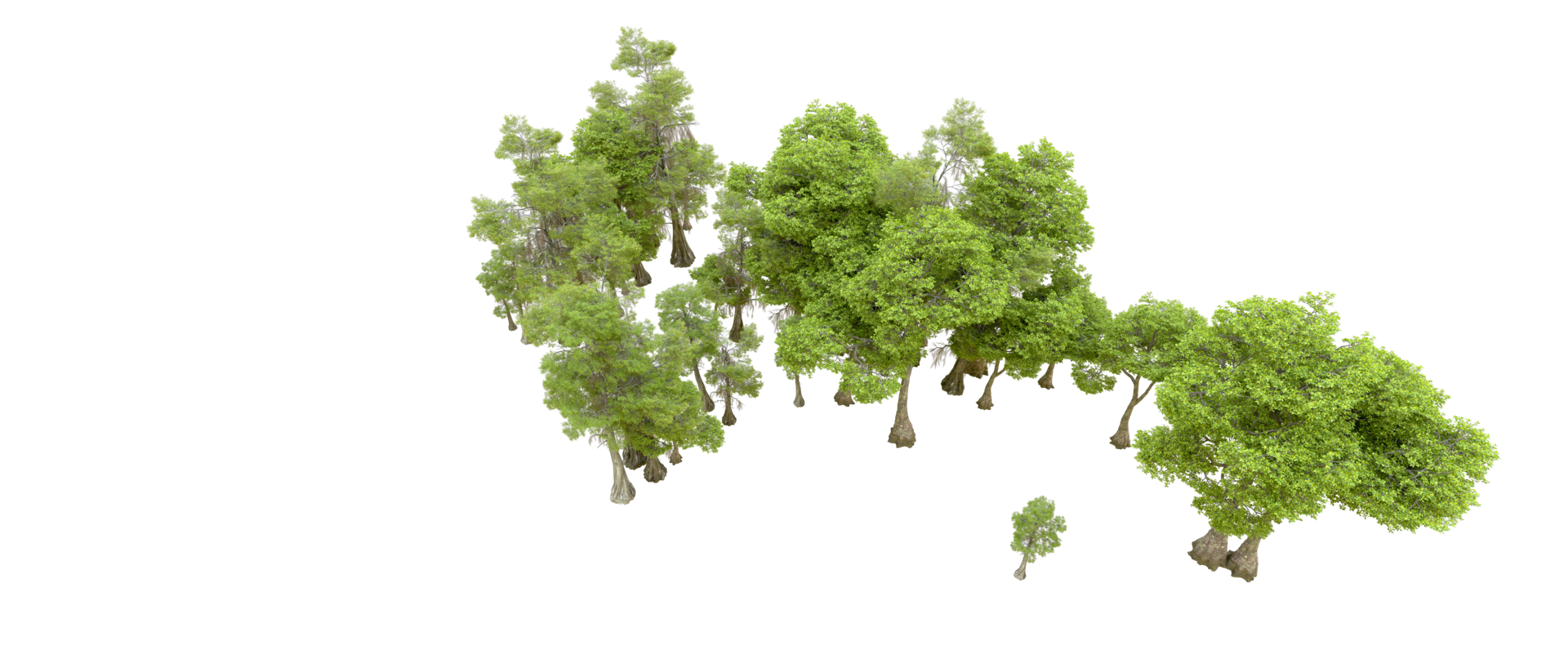 Green forest isolated on background. 3d rendering - illustration png