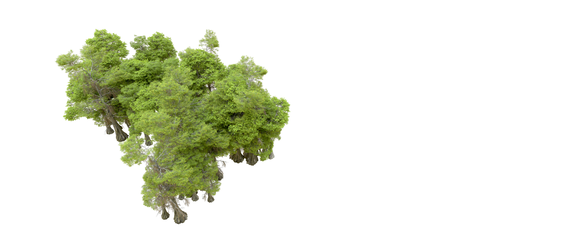 Green forest isolated on background. 3d rendering - illustration png