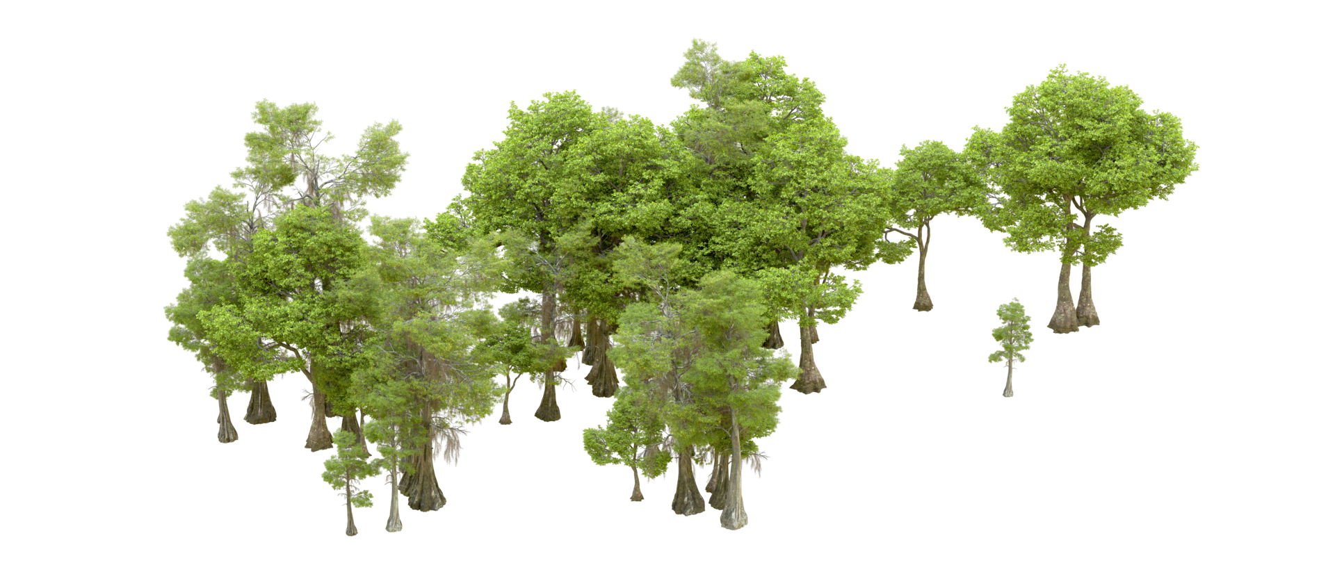 Green forest isolated on background. 3d rendering - illustration png