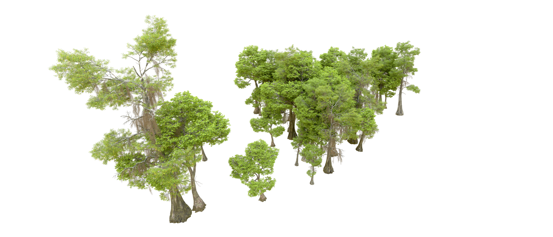 Green forest isolated on background. 3d rendering - illustration png