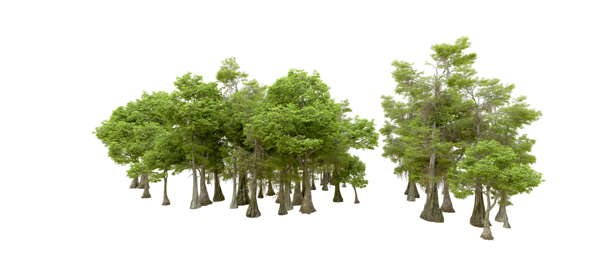 Green forest isolated on background. 3d rendering - illustration png