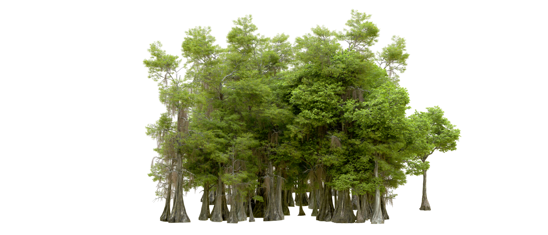 Green forest isolated on background. 3d rendering - illustration png