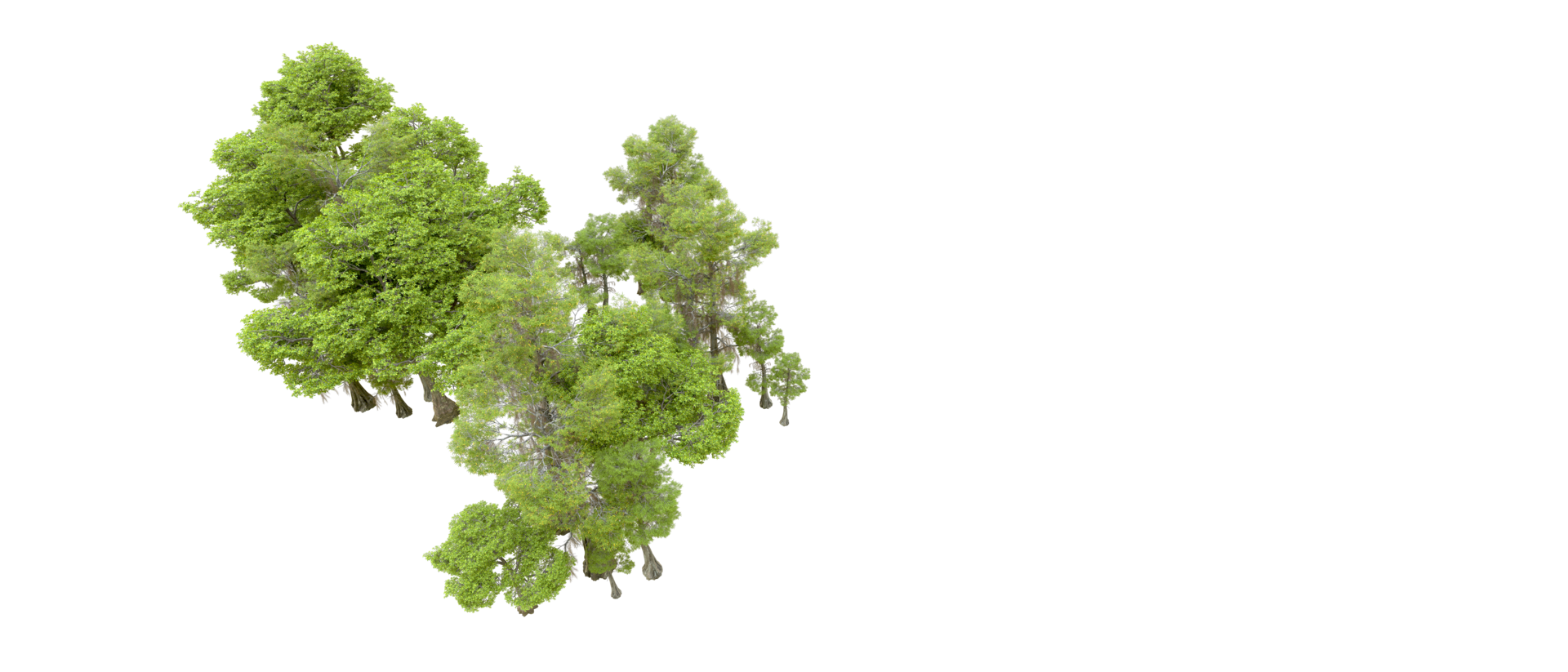 Green forest isolated on background. 3d rendering - illustration png