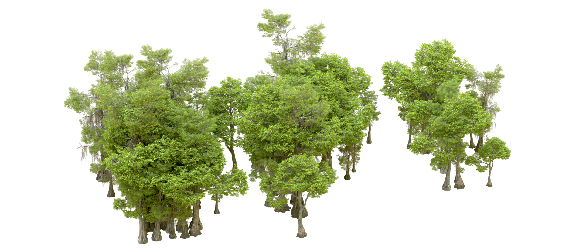 Green forest isolated on background. 3d rendering - illustration png