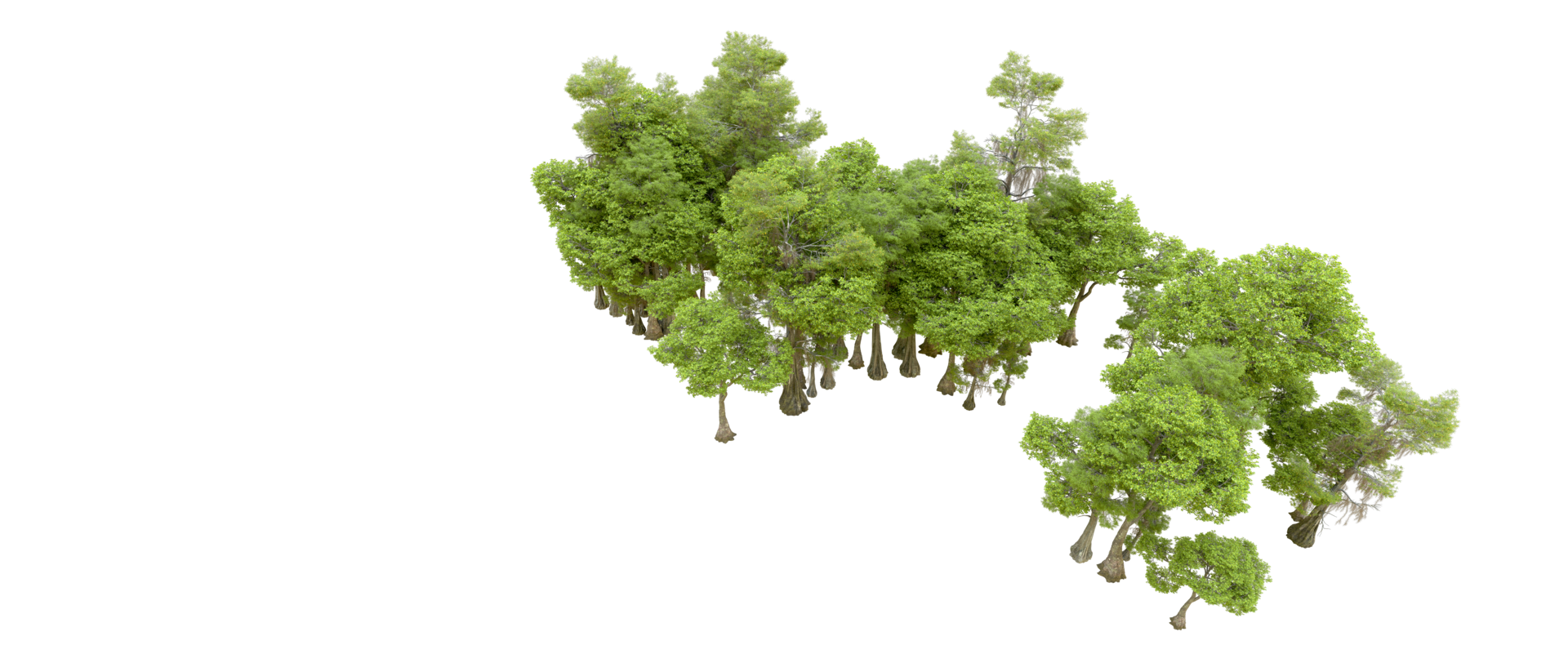 Green forest isolated on background. 3d rendering - illustration png