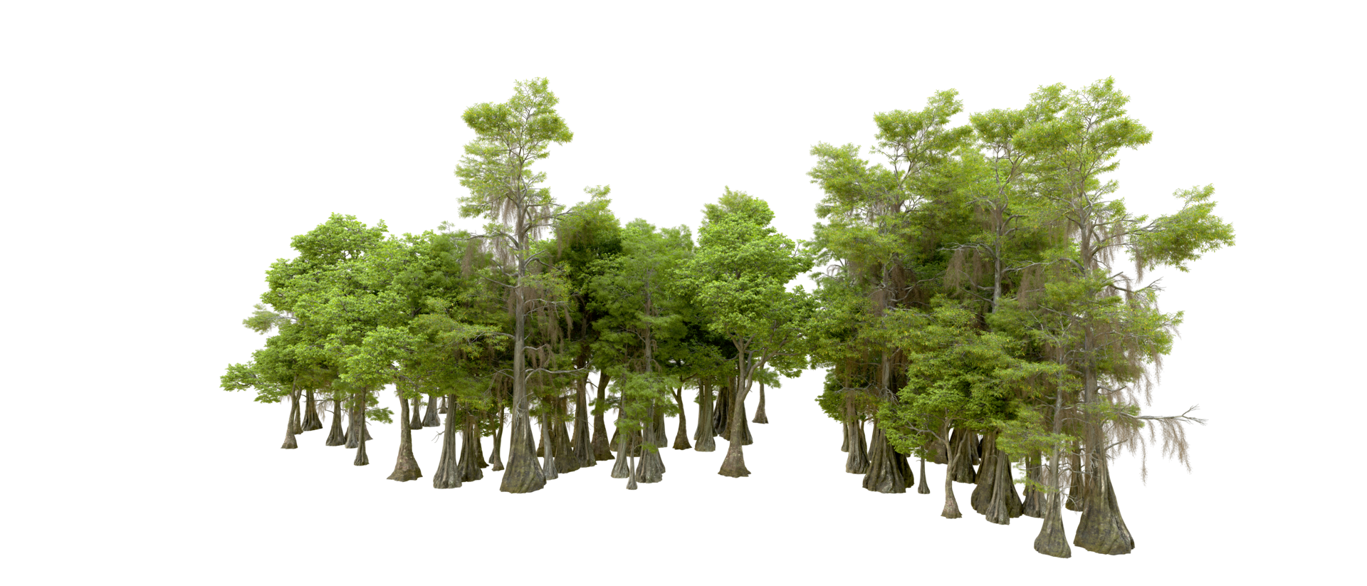 Green forest isolated on background. 3d rendering - illustration png