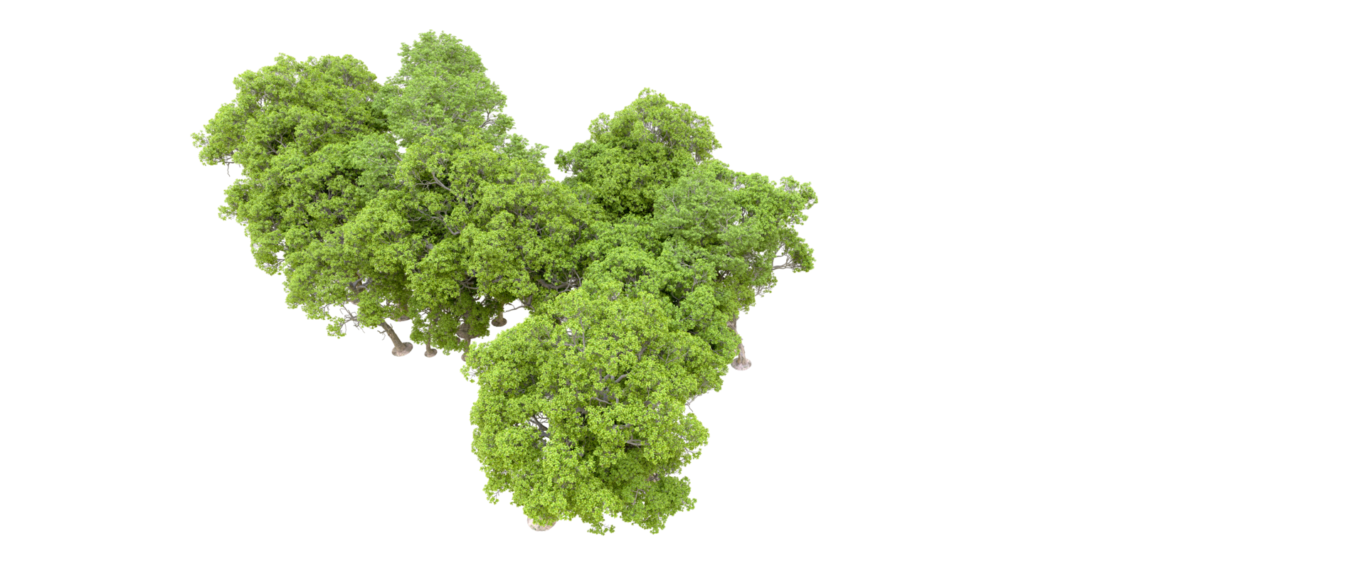 Green forest isolated on background. 3d rendering - illustration png