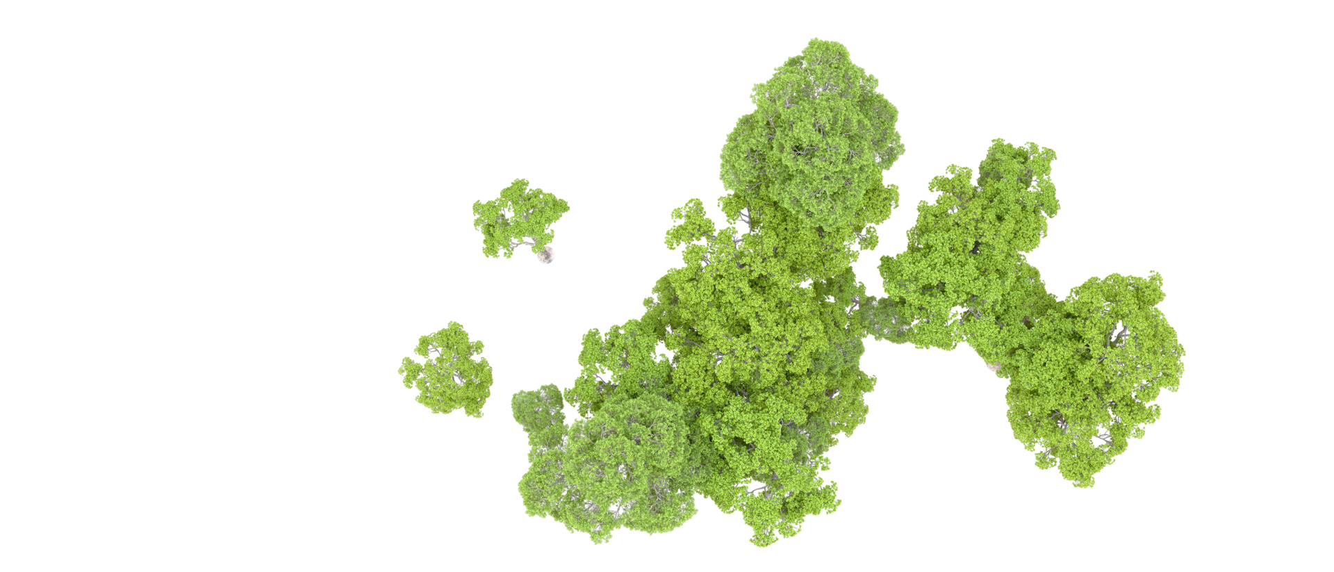 Green forest isolated on background. 3d rendering - illustration png