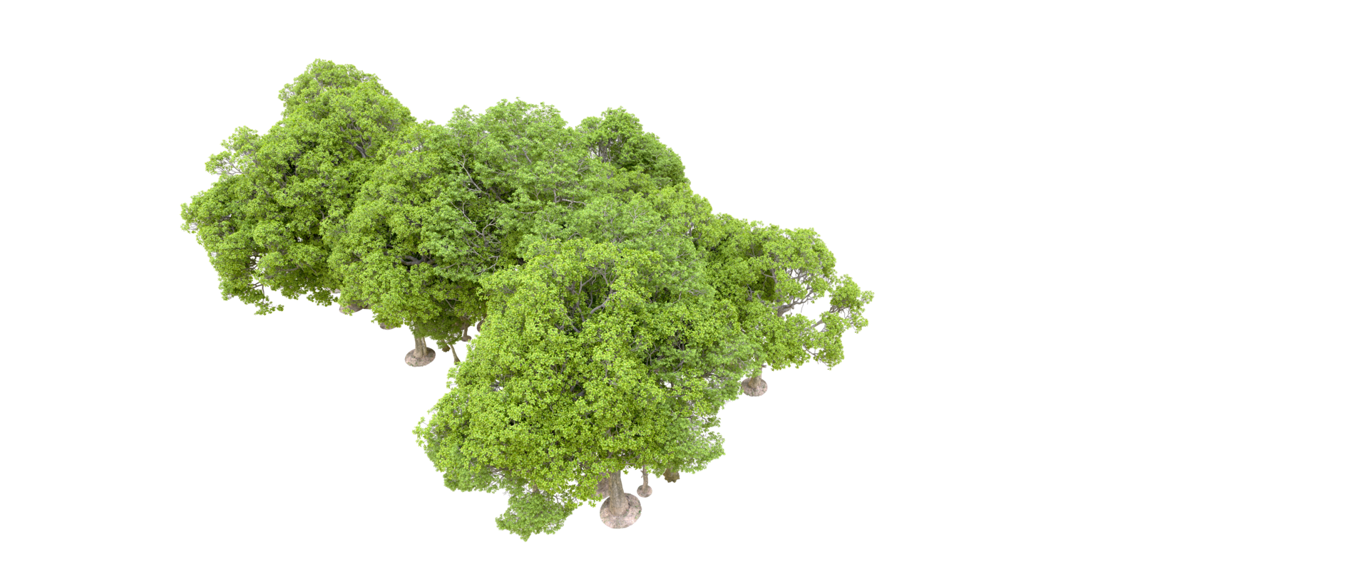 Green forest isolated on background. 3d rendering - illustration png