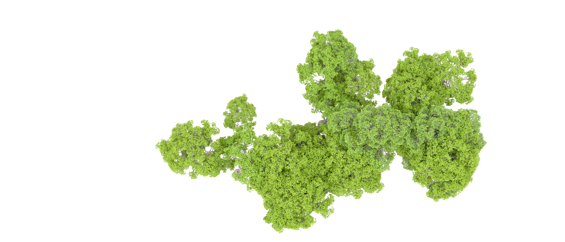 Green forest isolated on background. 3d rendering - illustration png