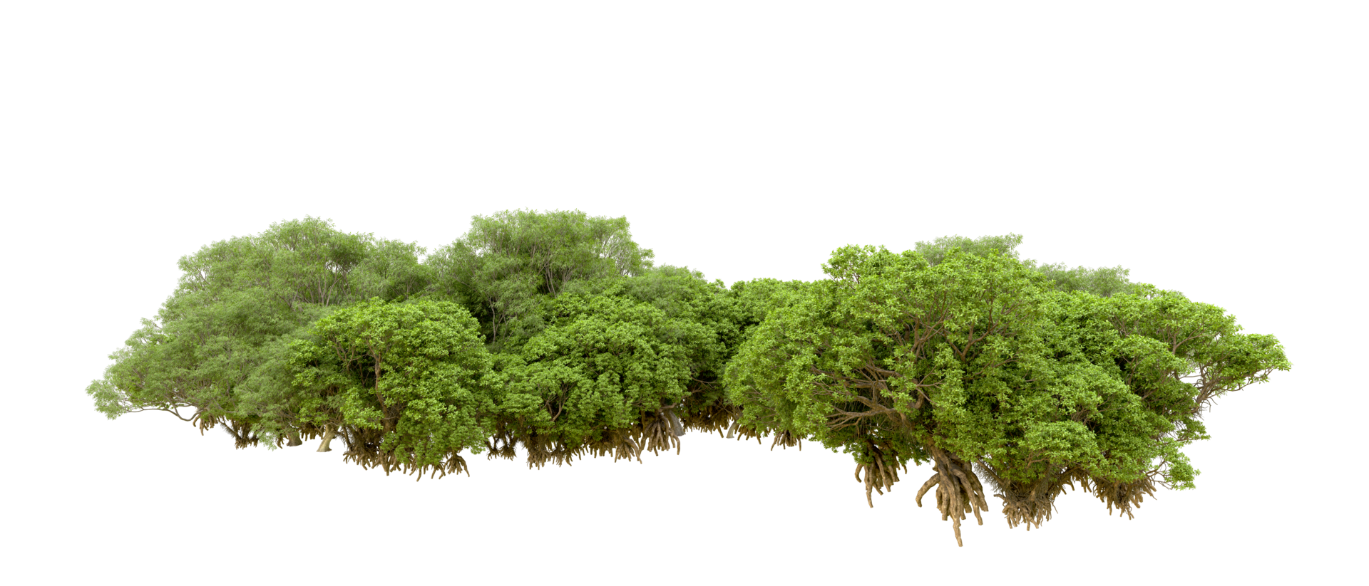 Green forest isolated on background. 3d rendering - illustration png