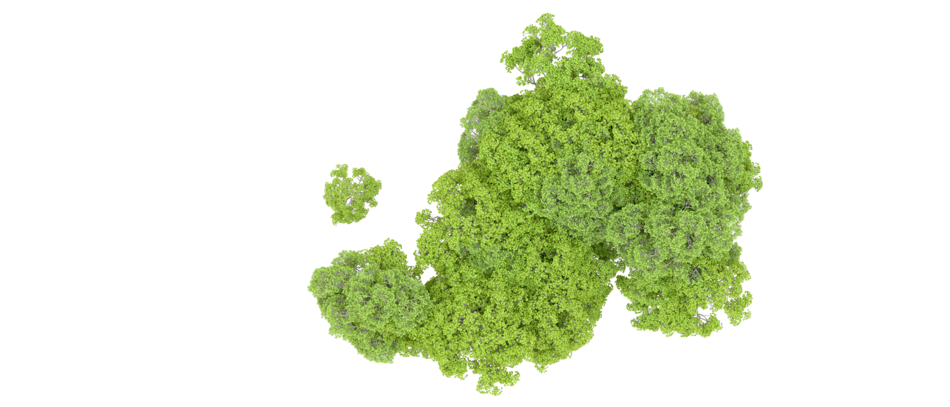 Green forest isolated on background. 3d rendering - illustration png