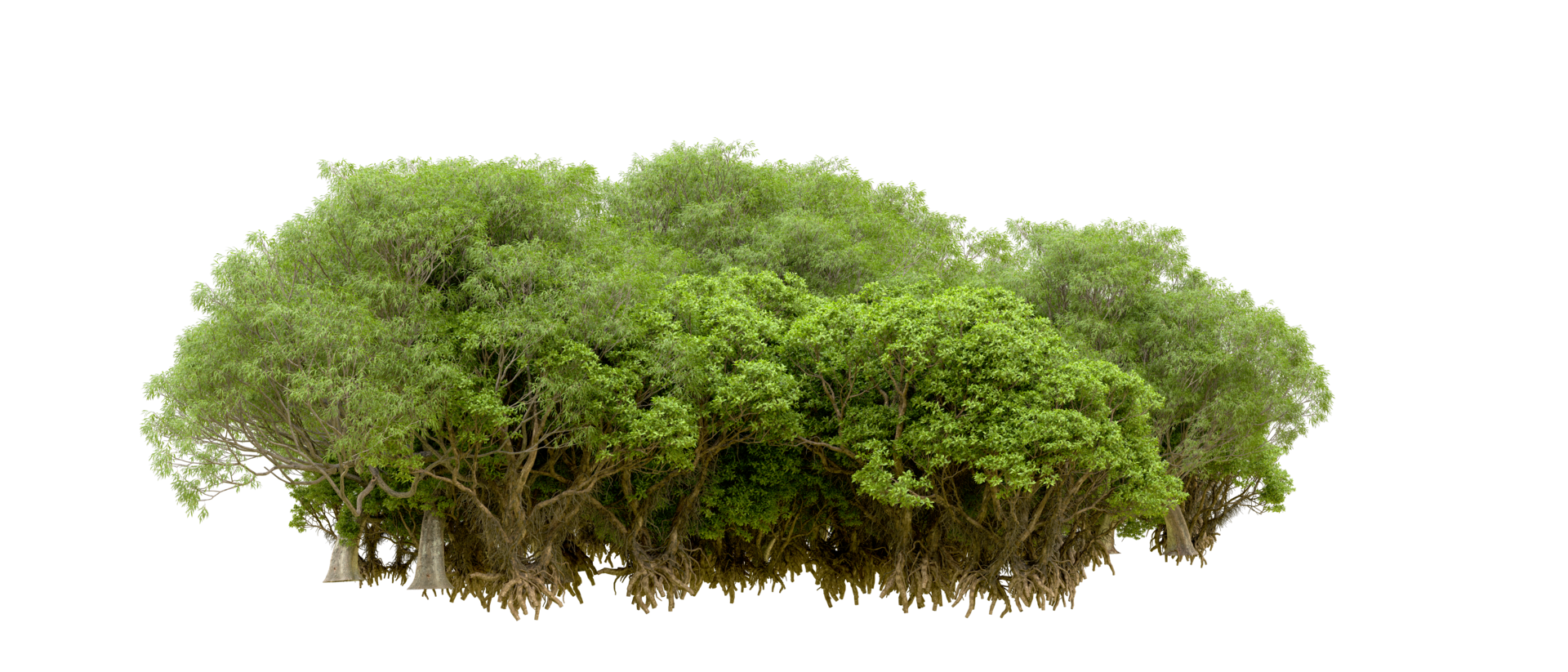 Green forest isolated on background. 3d rendering - illustration png
