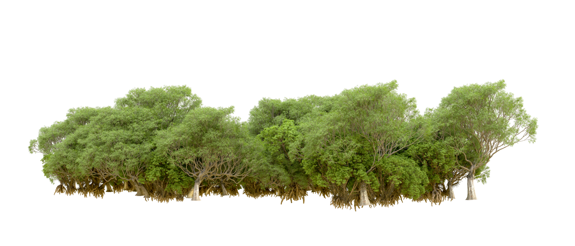 Green forest isolated on background. 3d rendering - illustration png