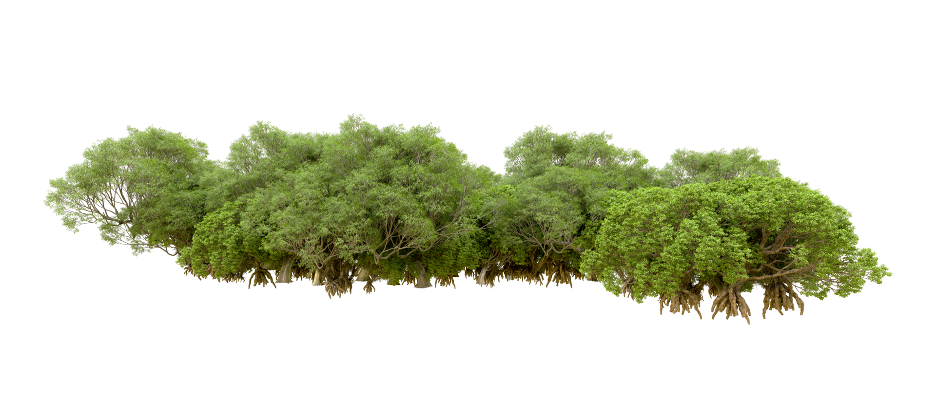 Green forest isolated on background. 3d rendering - illustration png