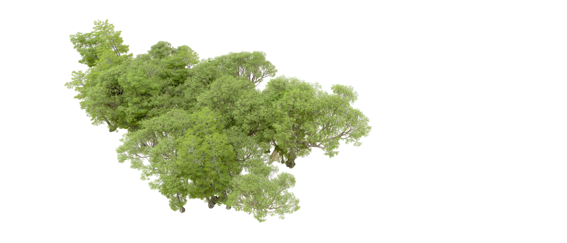 Green forest isolated on background. 3d rendering - illustration png