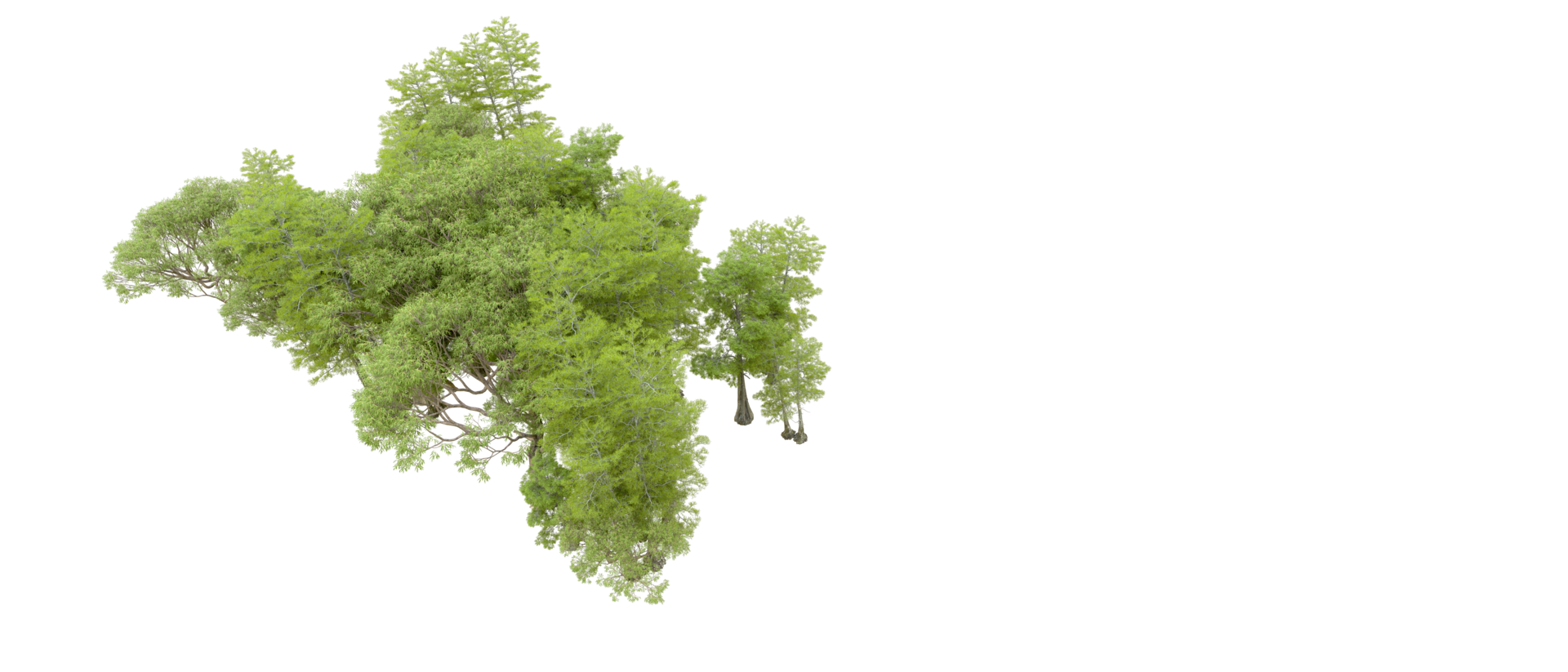 Green forest isolated on background. 3d rendering - illustration png