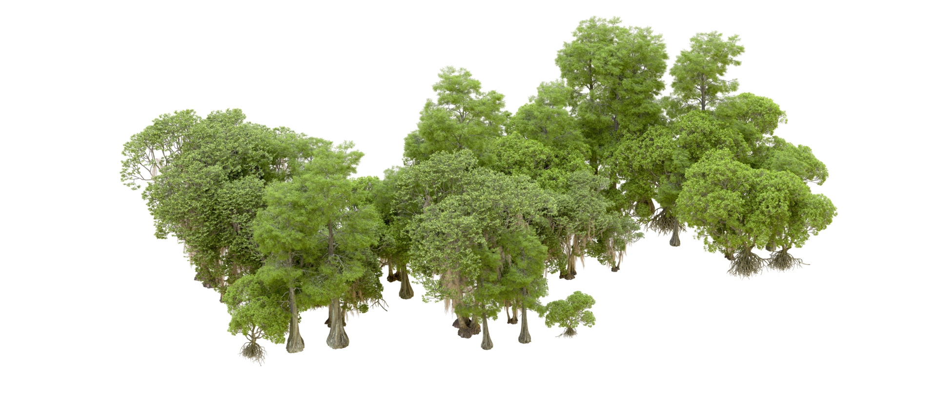Green forest isolated on background. 3d rendering - illustration png