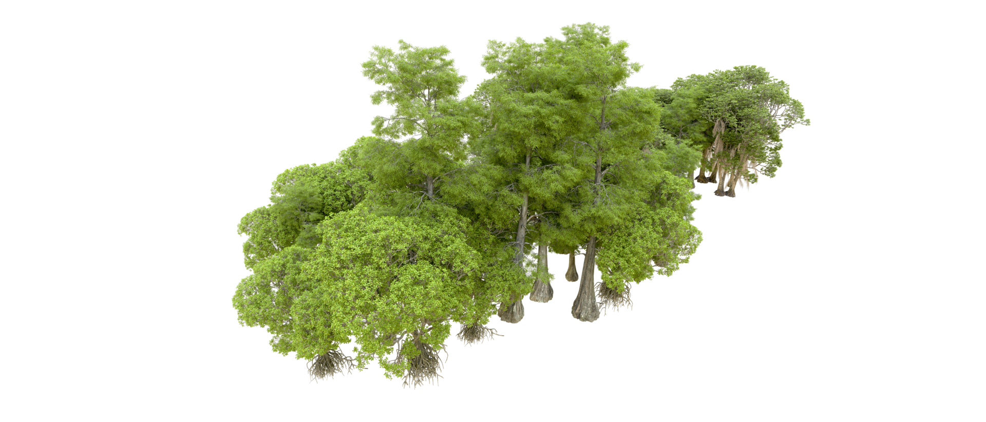 Green forest isolated on background. 3d rendering - illustration png