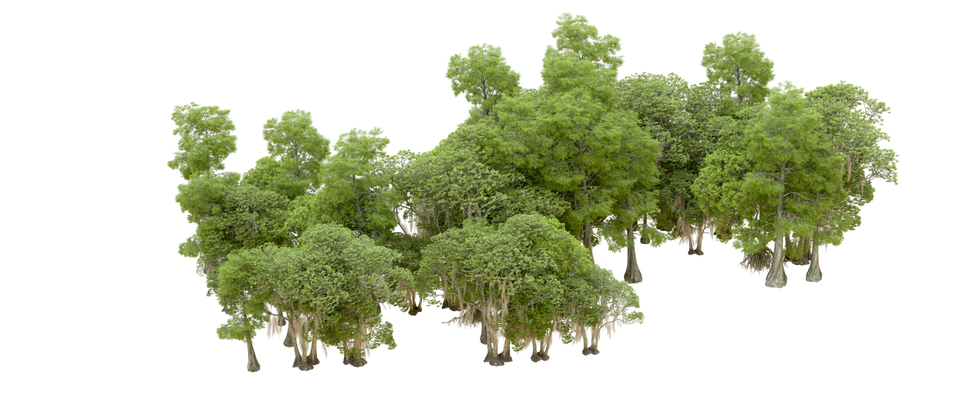 Green forest isolated on background. 3d rendering - illustration png
