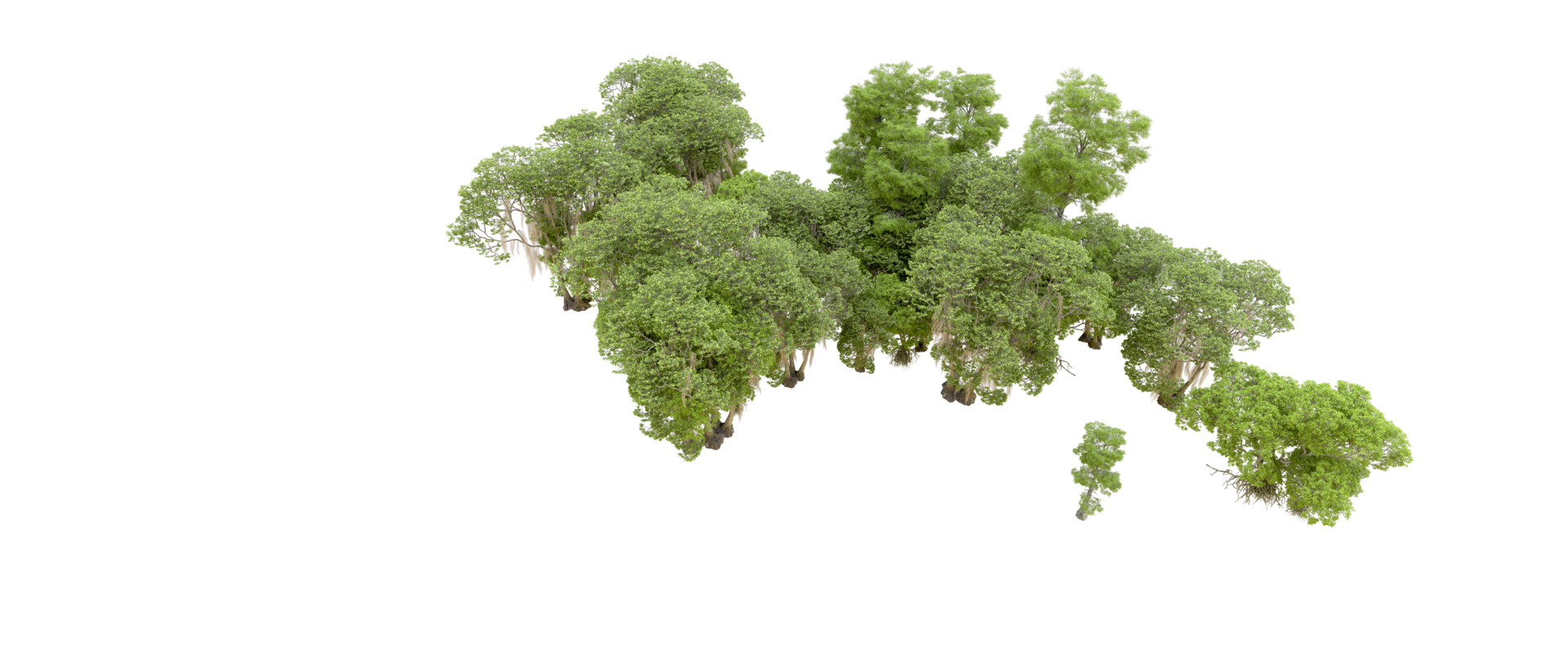 Green forest isolated on background. 3d rendering - illustration png