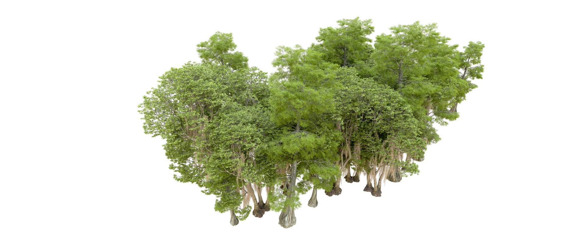 Green forest isolated on background. 3d rendering - illustration png