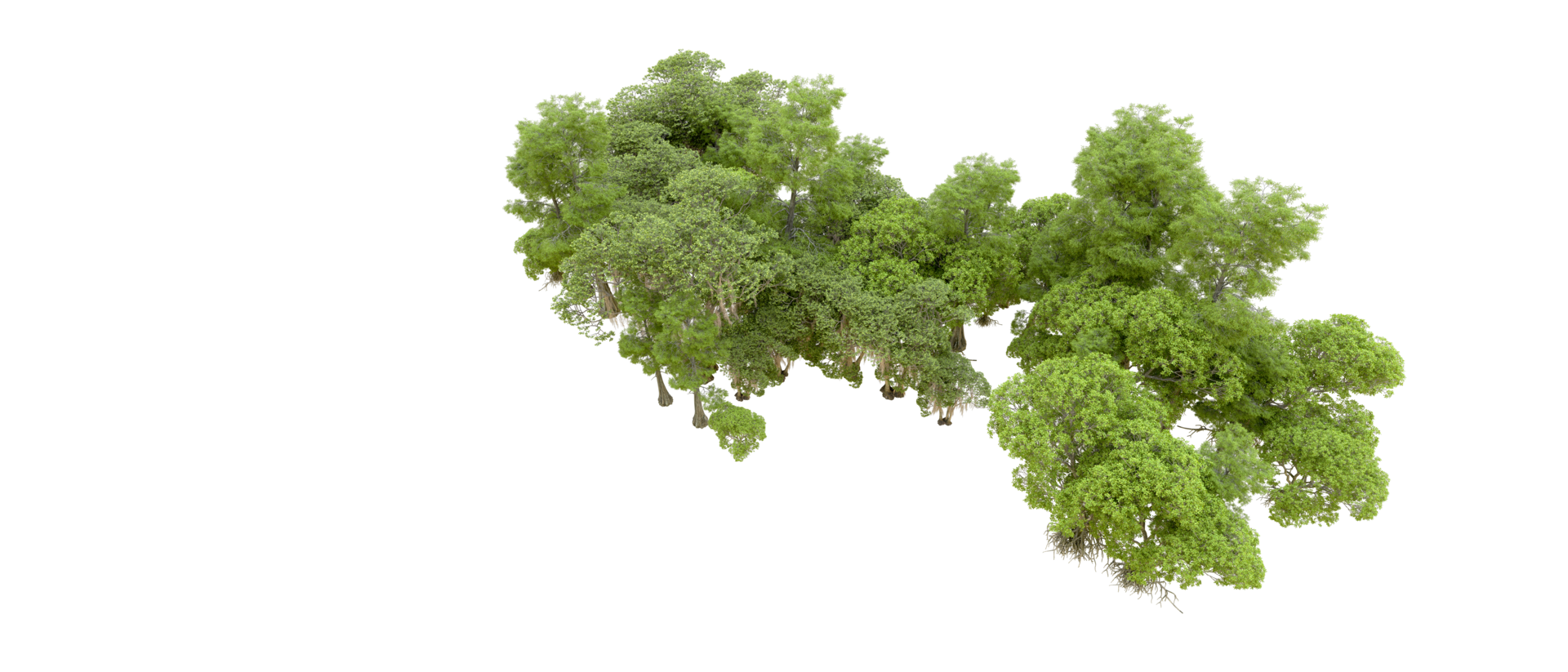 Green forest isolated on background. 3d rendering - illustration png