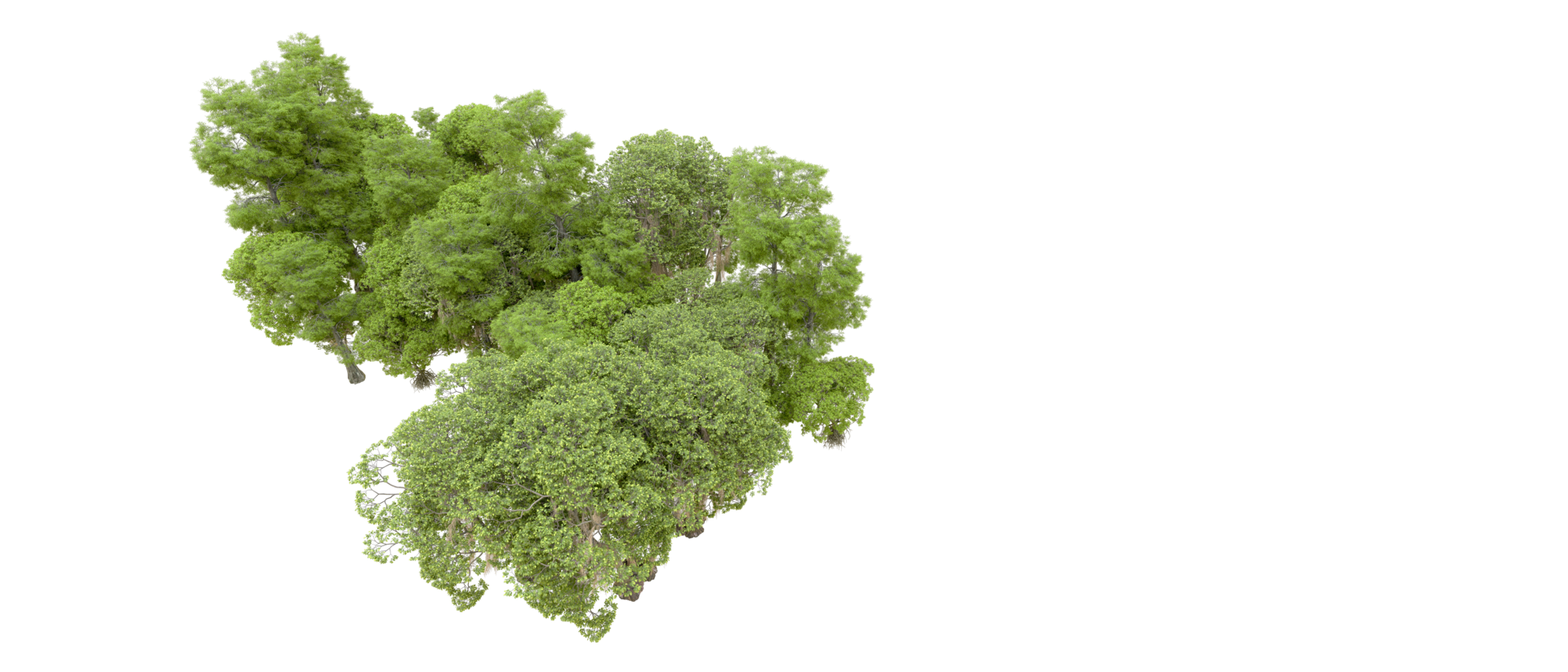 Green forest isolated on background. 3d rendering - illustration png