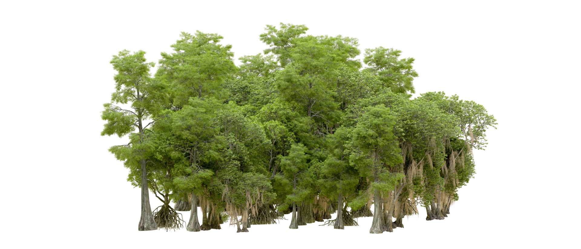 Green forest isolated on background. 3d rendering - illustration png