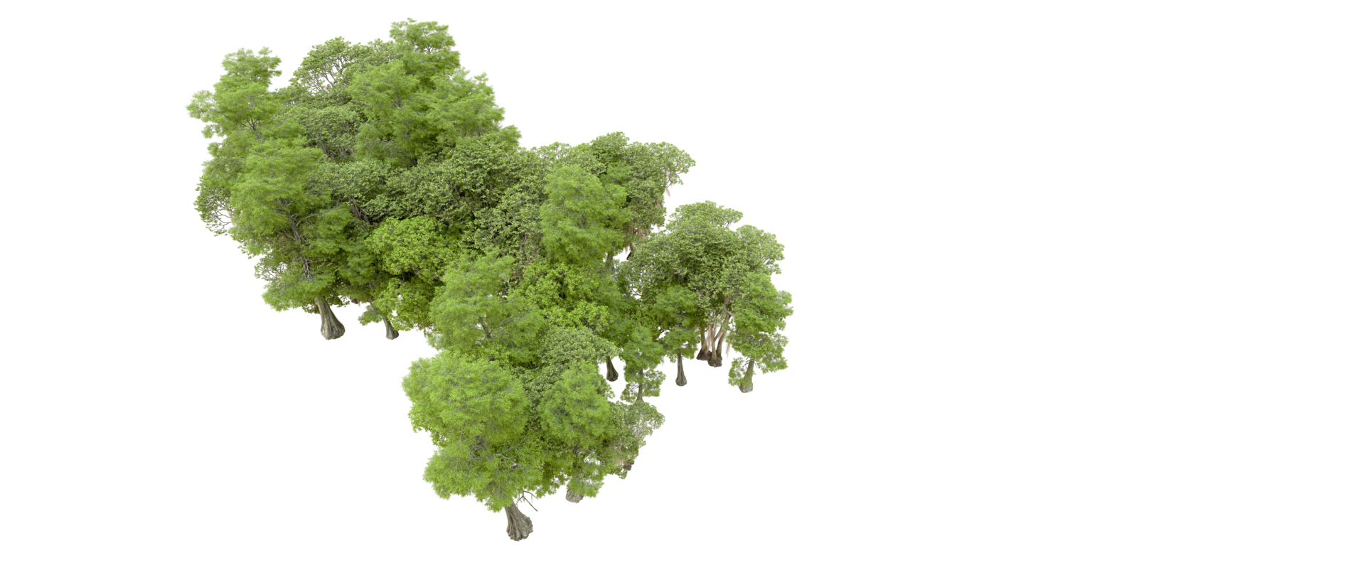 Green forest isolated on background. 3d rendering - illustration png