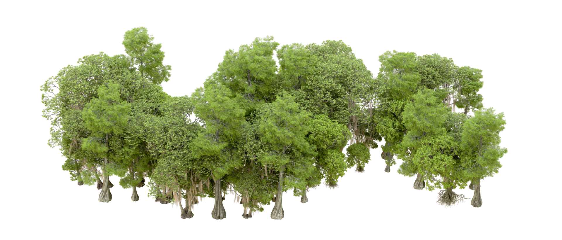 Green forest isolated on background. 3d rendering - illustration png