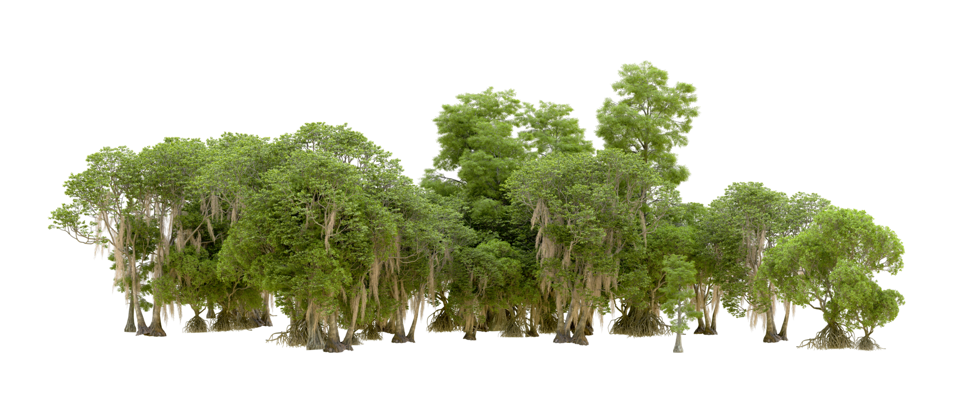 Green forest isolated on background. 3d rendering - illustration png