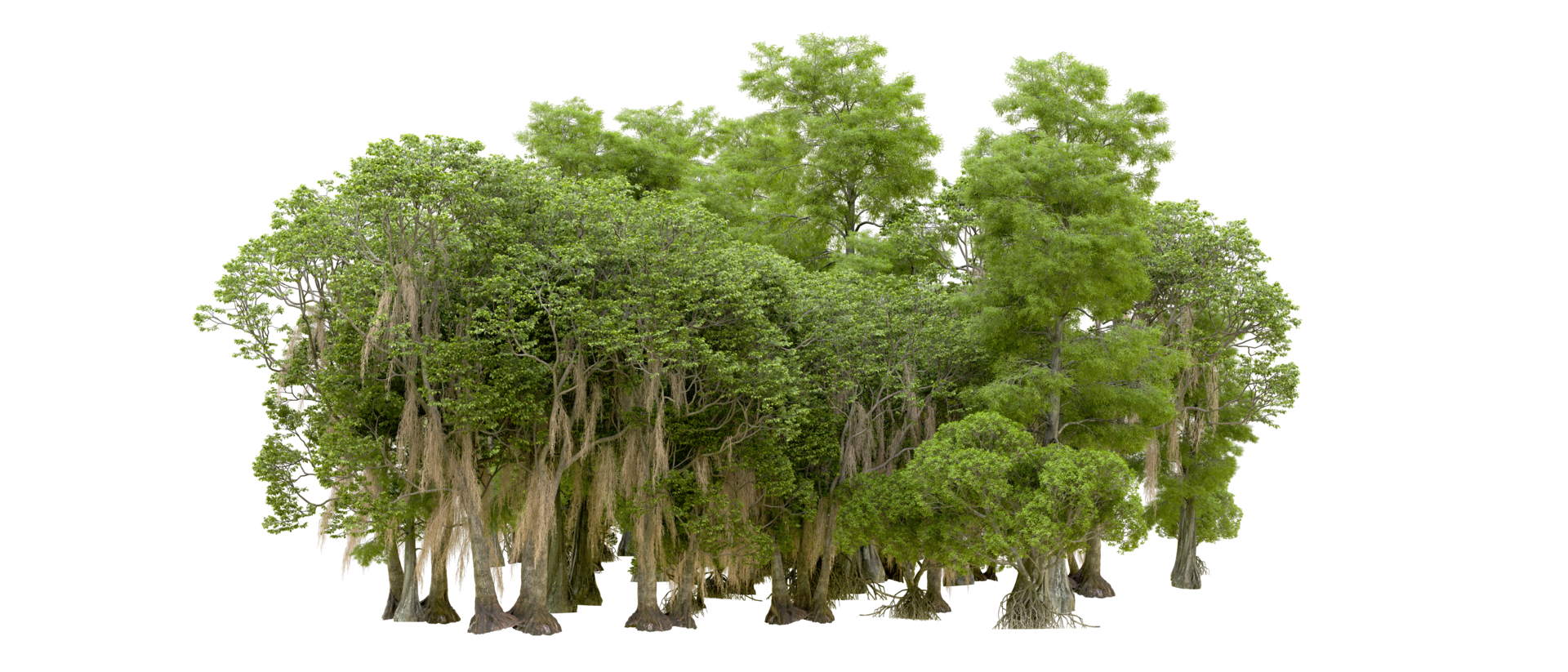 Green forest isolated on background. 3d rendering - illustration png