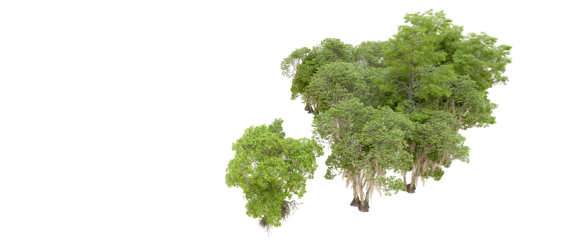 Green forest isolated on background. 3d rendering - illustration png