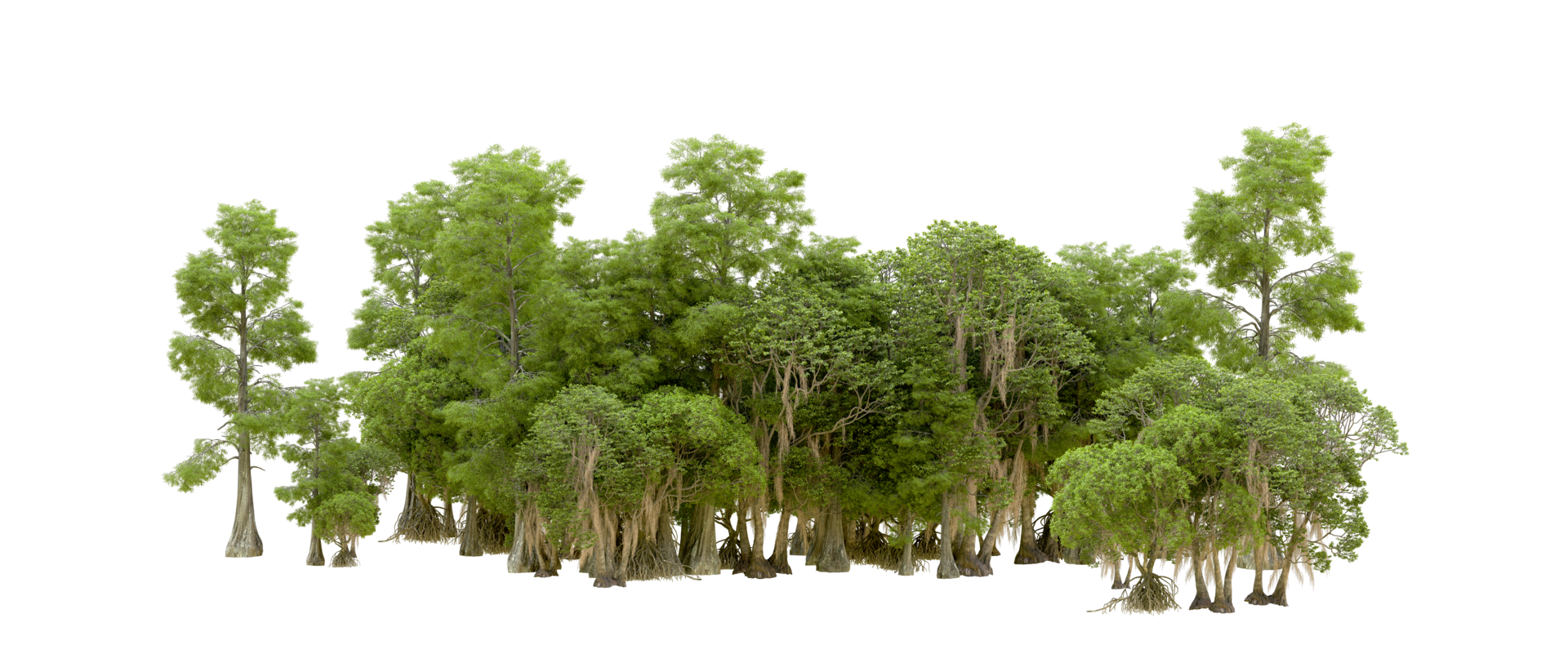 Green forest isolated on background. 3d rendering - illustration png