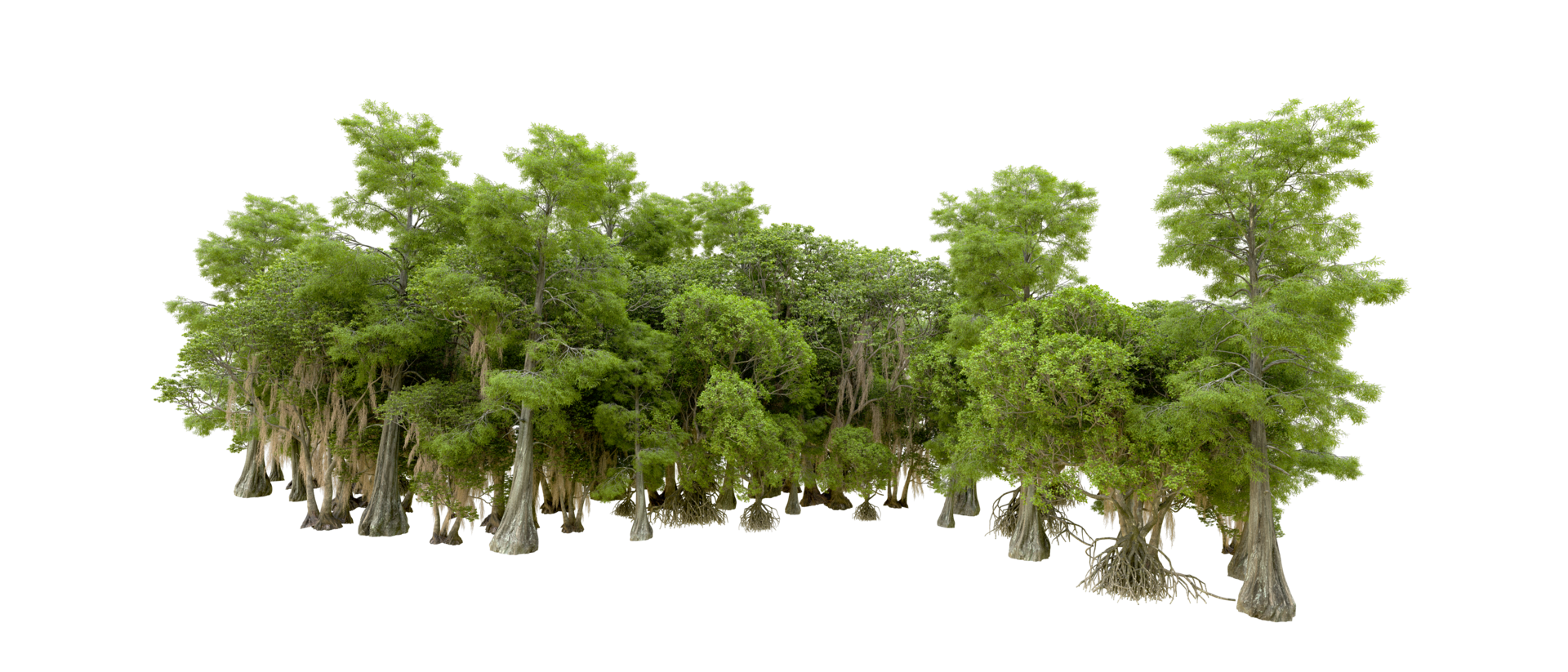 Green forest isolated on background. 3d rendering - illustration png