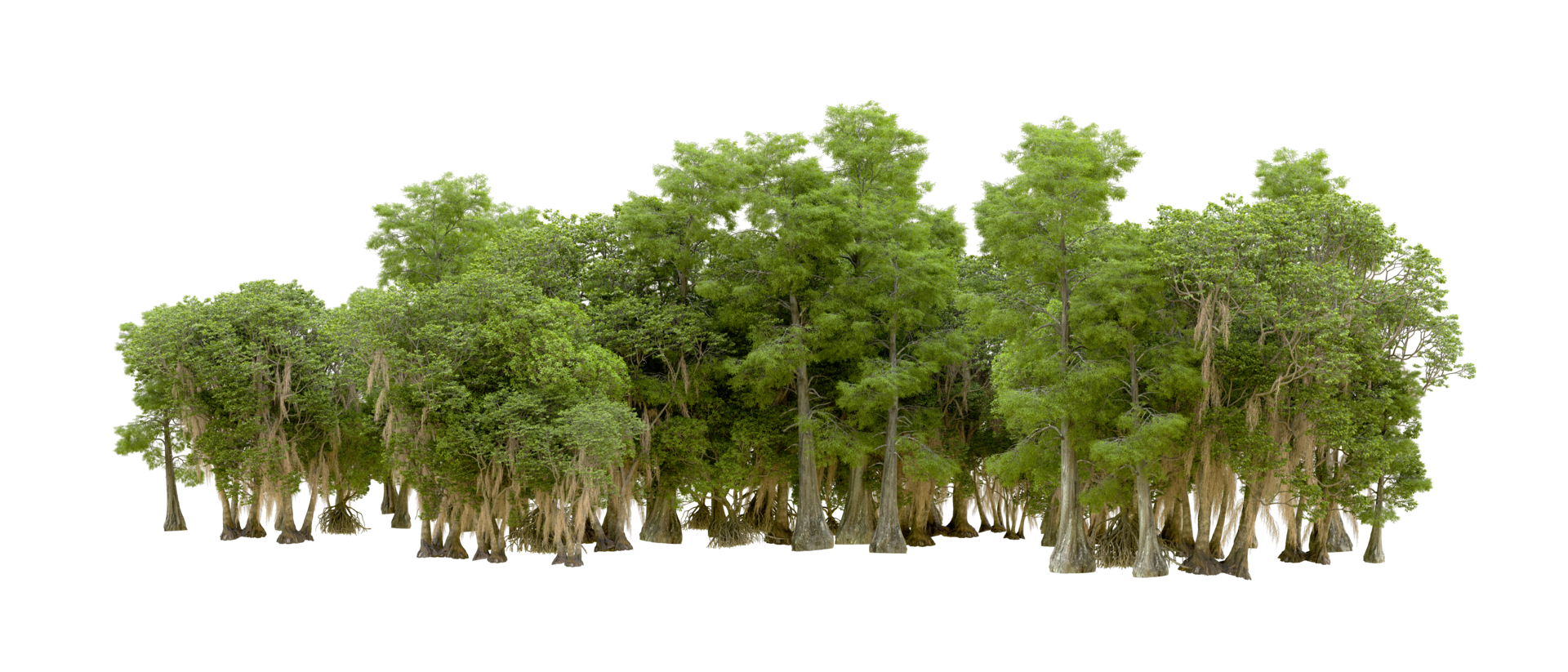 Green forest isolated on background. 3d rendering - illustration png